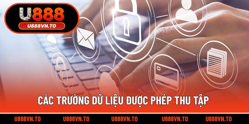 Các trường dữ liệu được phép thu tập tại quyền riêng tư