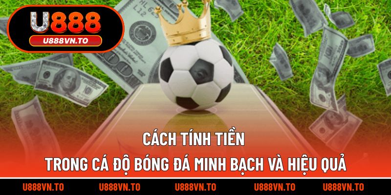 Cách tính tiền trong cá độ bóng đá minh bạch và hiệu quả