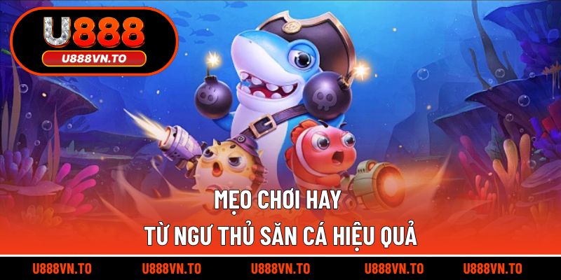 Mẹo chơi hay từ ngư thủ săn cá hiệu quả