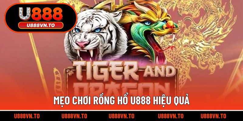 Mẹo Chơi Rồng Hổ U888 Hiệu Quả