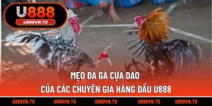 Mẹo Đá Gà Cựa Dao