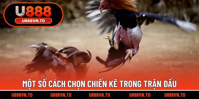 Một số cách chọn chiến kê trong trận đấu