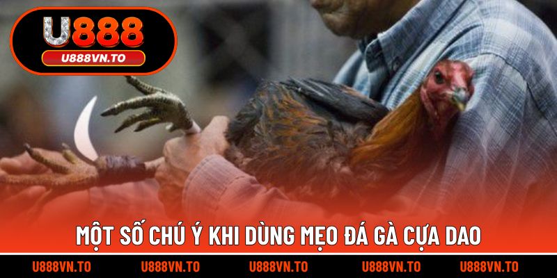 Một số chú ý khi dùng mẹo đá gà cựa dao