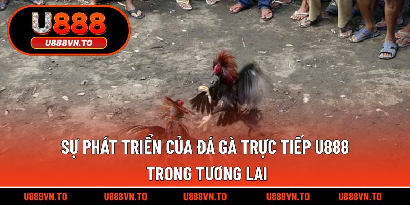 Sự phát triển của đá gà trực tiếp U888 trong tương lai