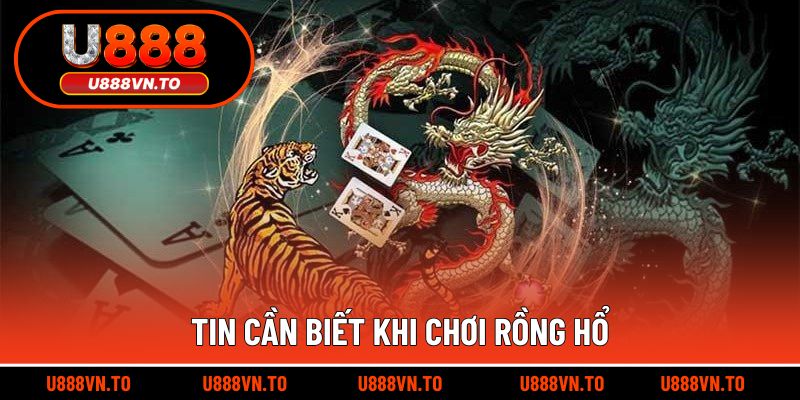 Tin Cần Biết Khi Chơi Rồng Hổ
